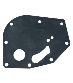 plaque de pompe à eau Dauphine