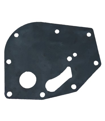 plaque de pompe à eau Dauphine